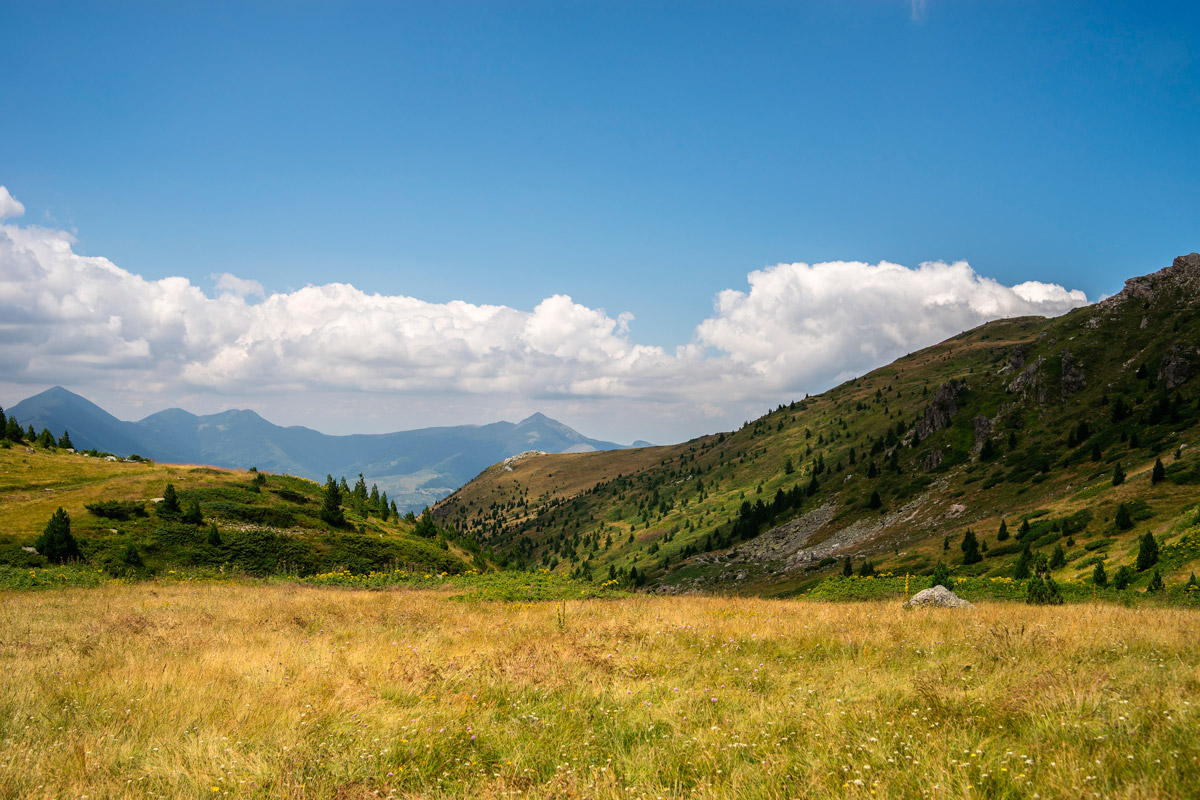 origen-castellano_campo